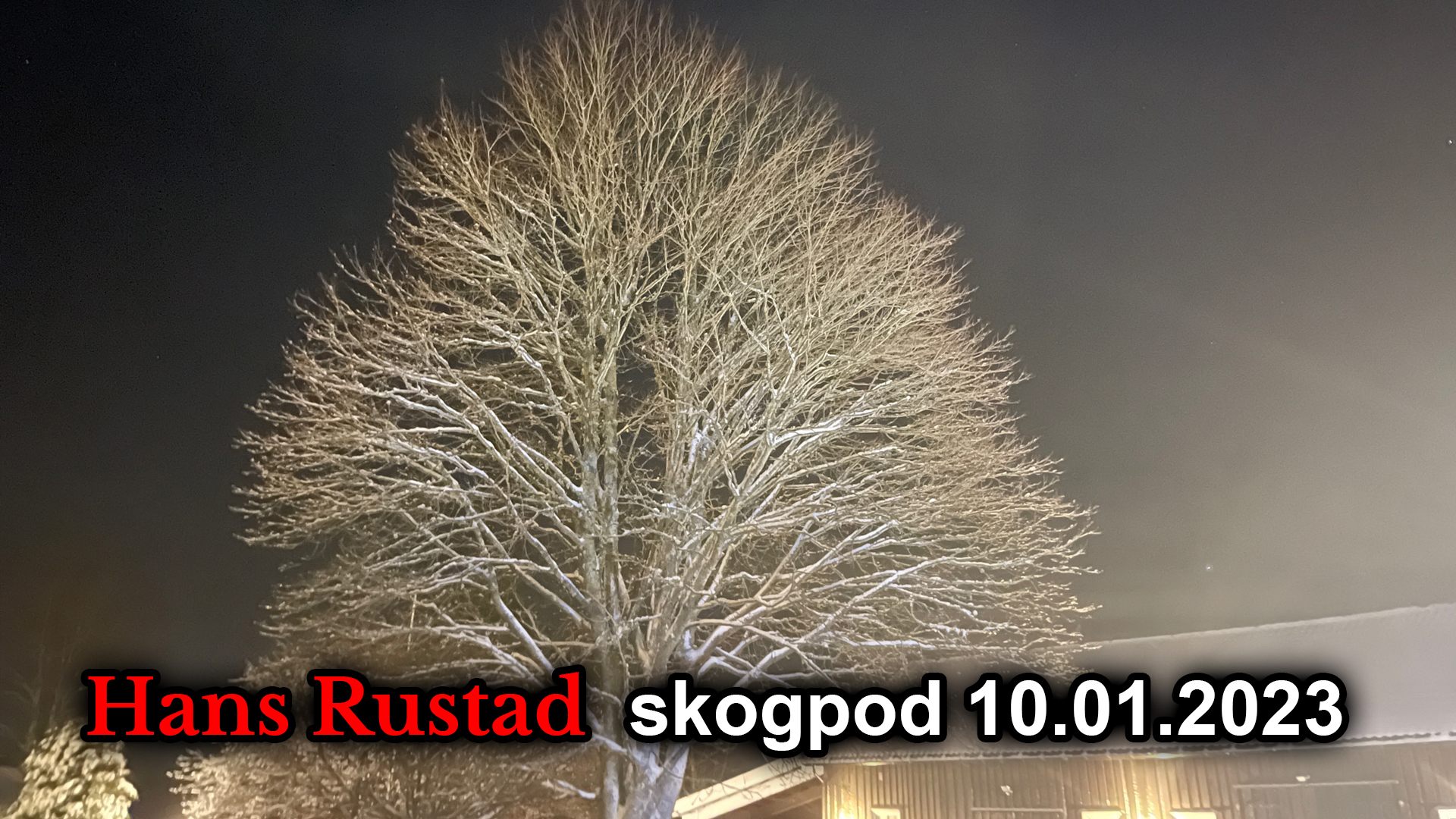 Skogpod 10. januar: Det nye Norges første helgen&nbsp;<span>(+)</span>