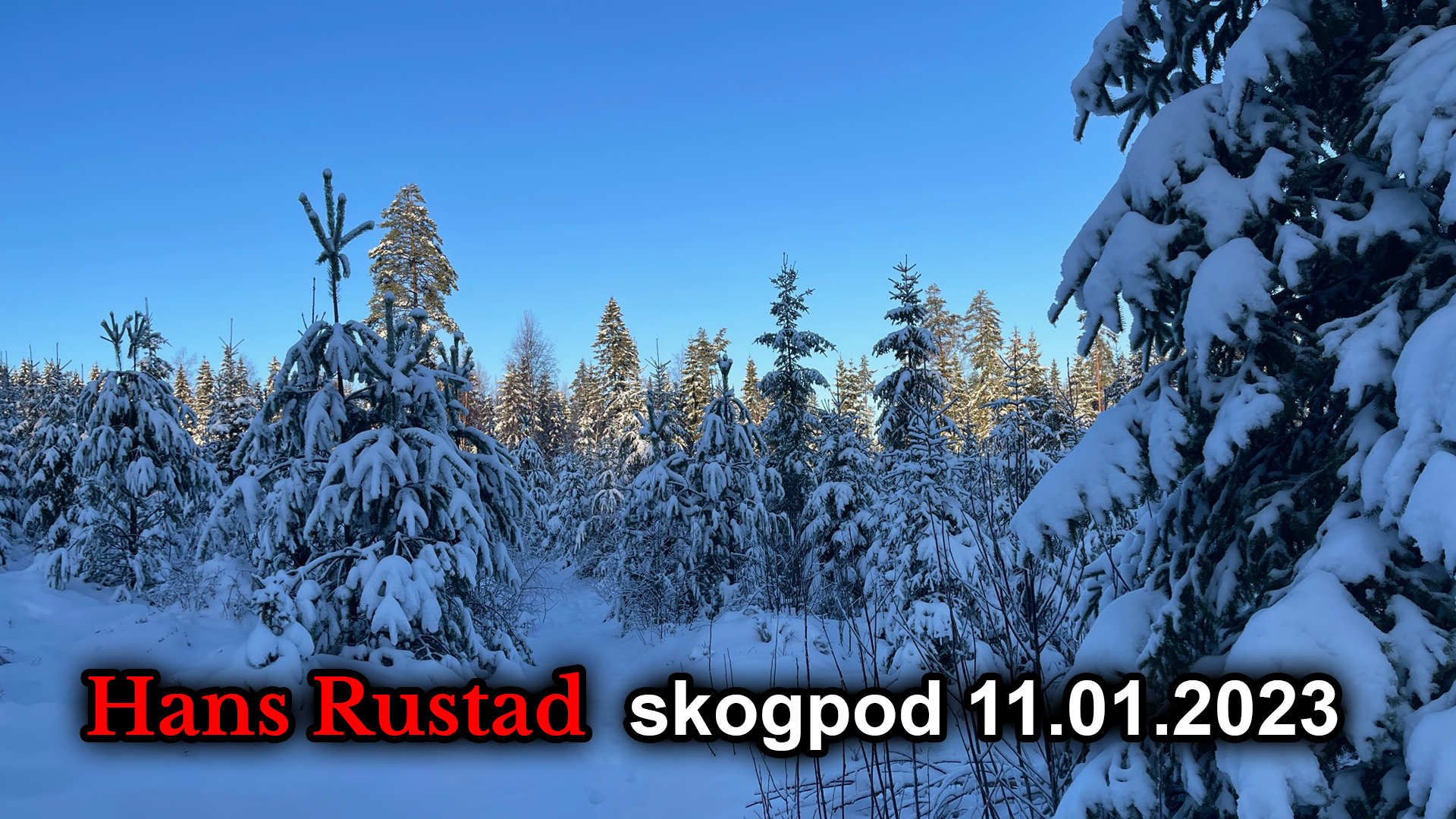 Skogpod 11. januar: Med Støre er overklassens arroganse tilbake&nbsp;<span>(+)</span>