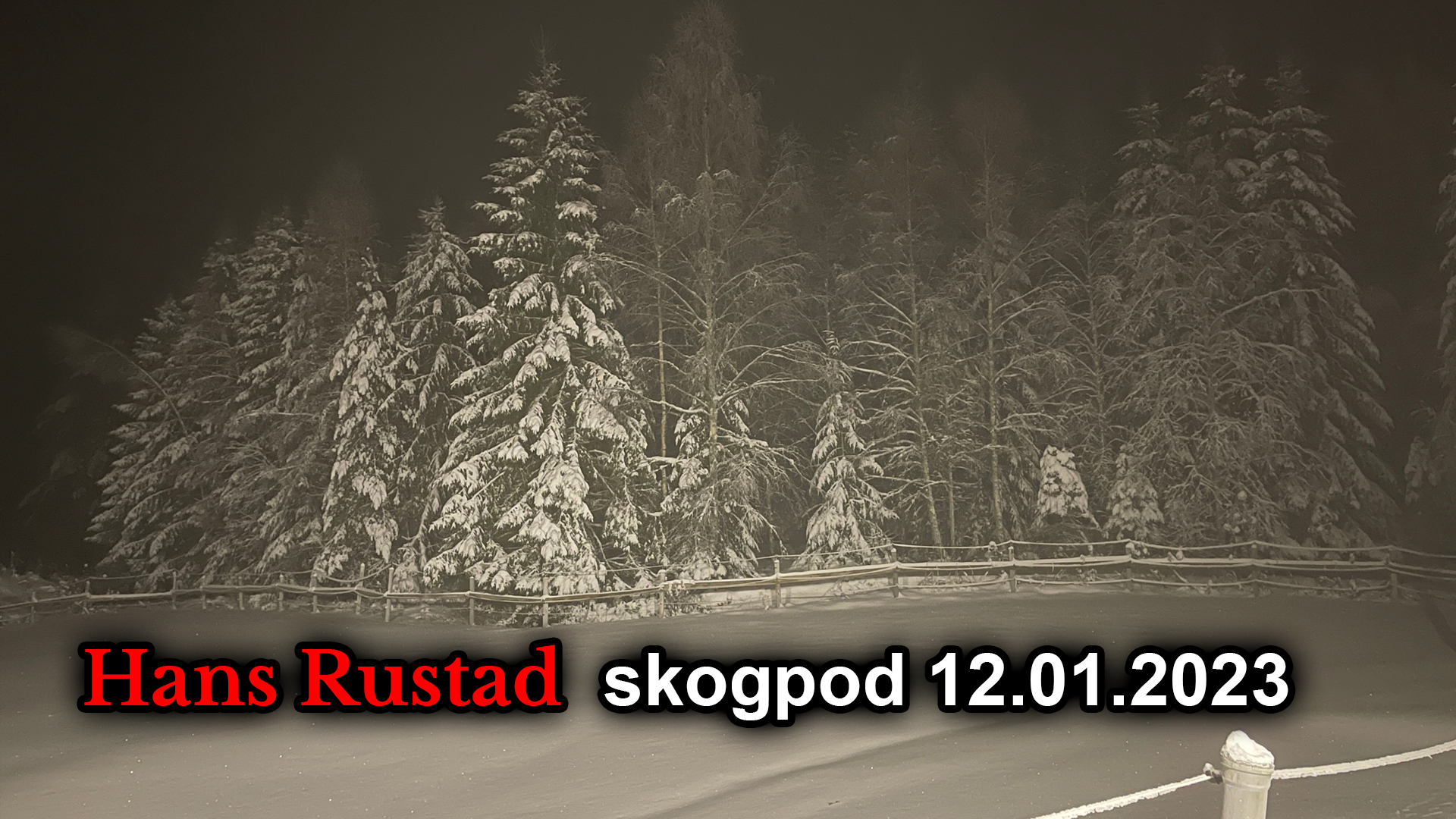 Skogpod 12. januar: Biden må steke i sitt eget fett&nbsp;<span>(+)</span>