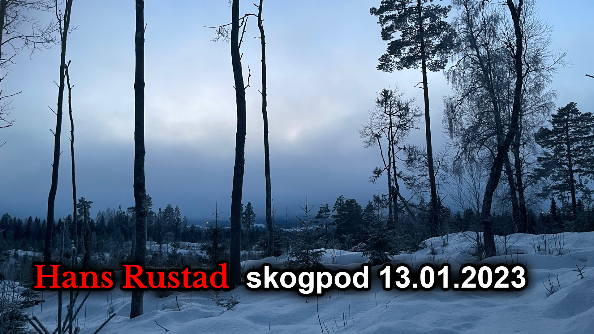 Skogpod 13. januar: Biden blir ofret&nbsp;<span>(+)</span>