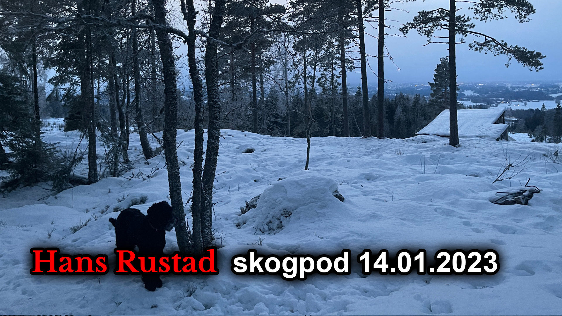 Skogpod 14. januar: Da freden kom brøt krigen ut&nbsp;<span>(+)</span>