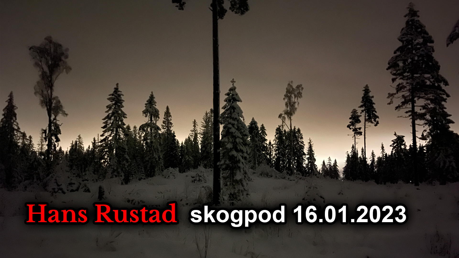 Skogpod 16. januar: Godhetens felle&nbsp;<span>(+)</span>