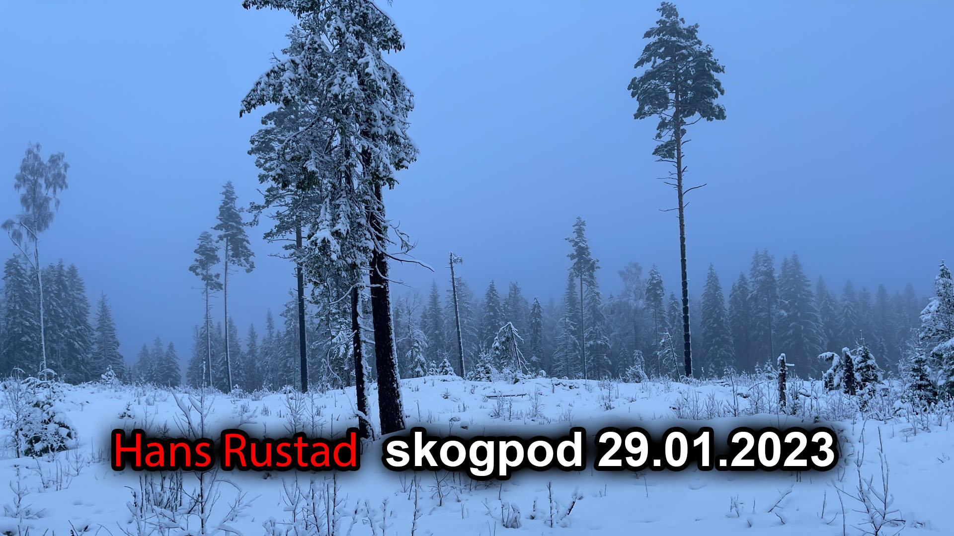 Skogpod 29. januar: Timeglasset&nbsp;<span>(+)</span>