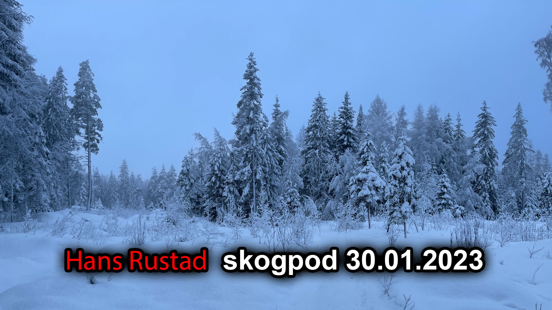 Skogpod 30. januar: Impostors, de som utgir seg for noe de ikke er&nbsp;<span>(+)</span>