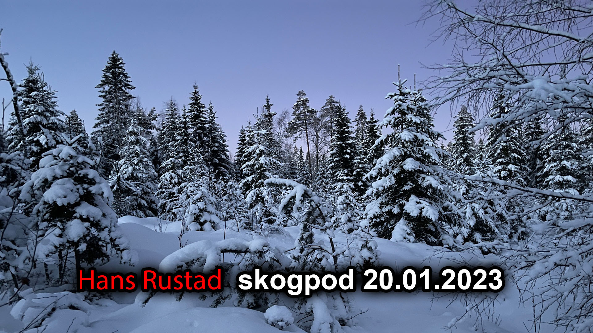 Skogpod 20. januar: Parallelle univers&nbsp;<span>(+)</span>