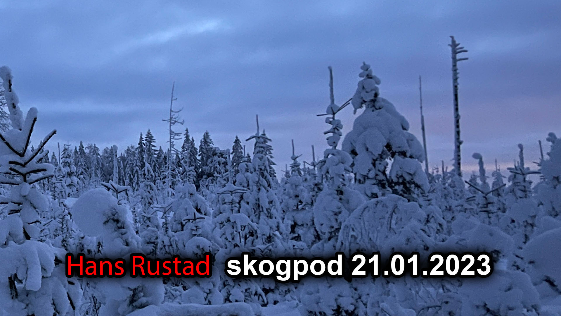 Skogpod 21. januar: Historiske veikryss&nbsp;<span>(+)</span>