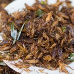Igår ble insekter lovlig mat i EU
