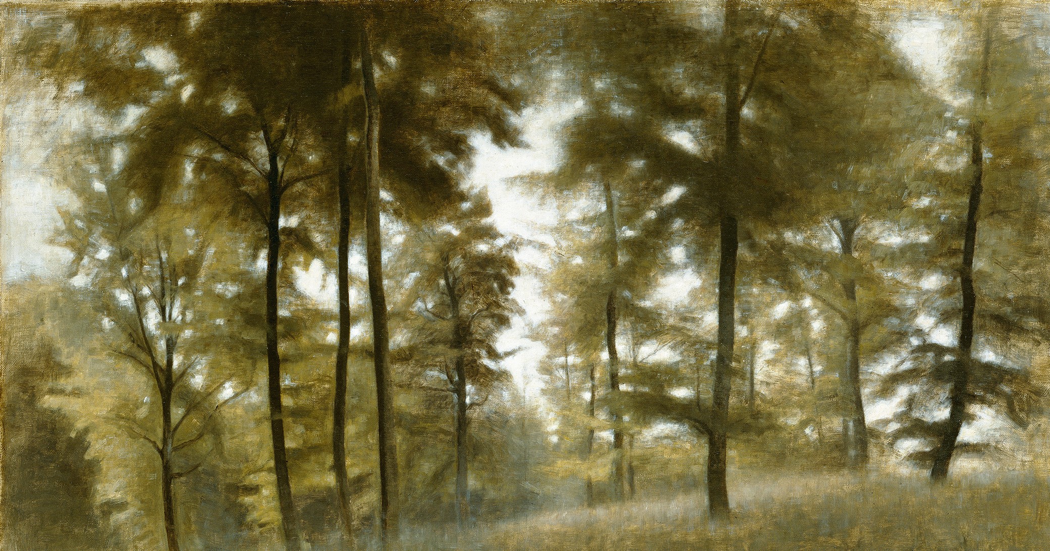 Ung Bøgeskov, Frederiksværk (1904)&nbsp;<span>(+)</span>