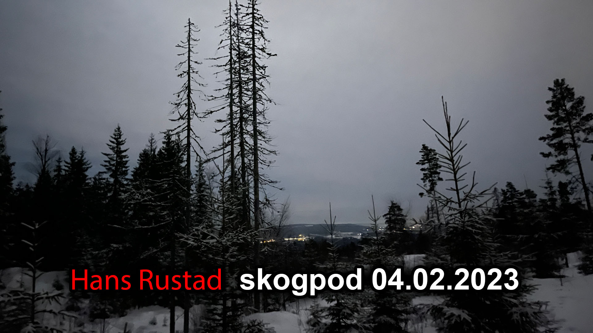 Skogpod 4. februar: Rapport fra Stasiland&nbsp;<span>(+)</span>