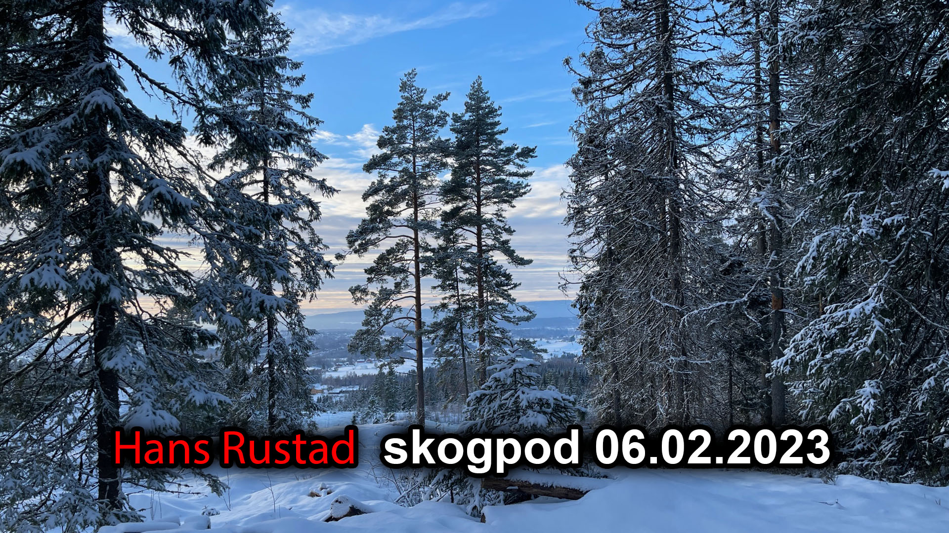 Skogpod 6. februar: Livet i Stasiland&nbsp;<span>(+)</span>