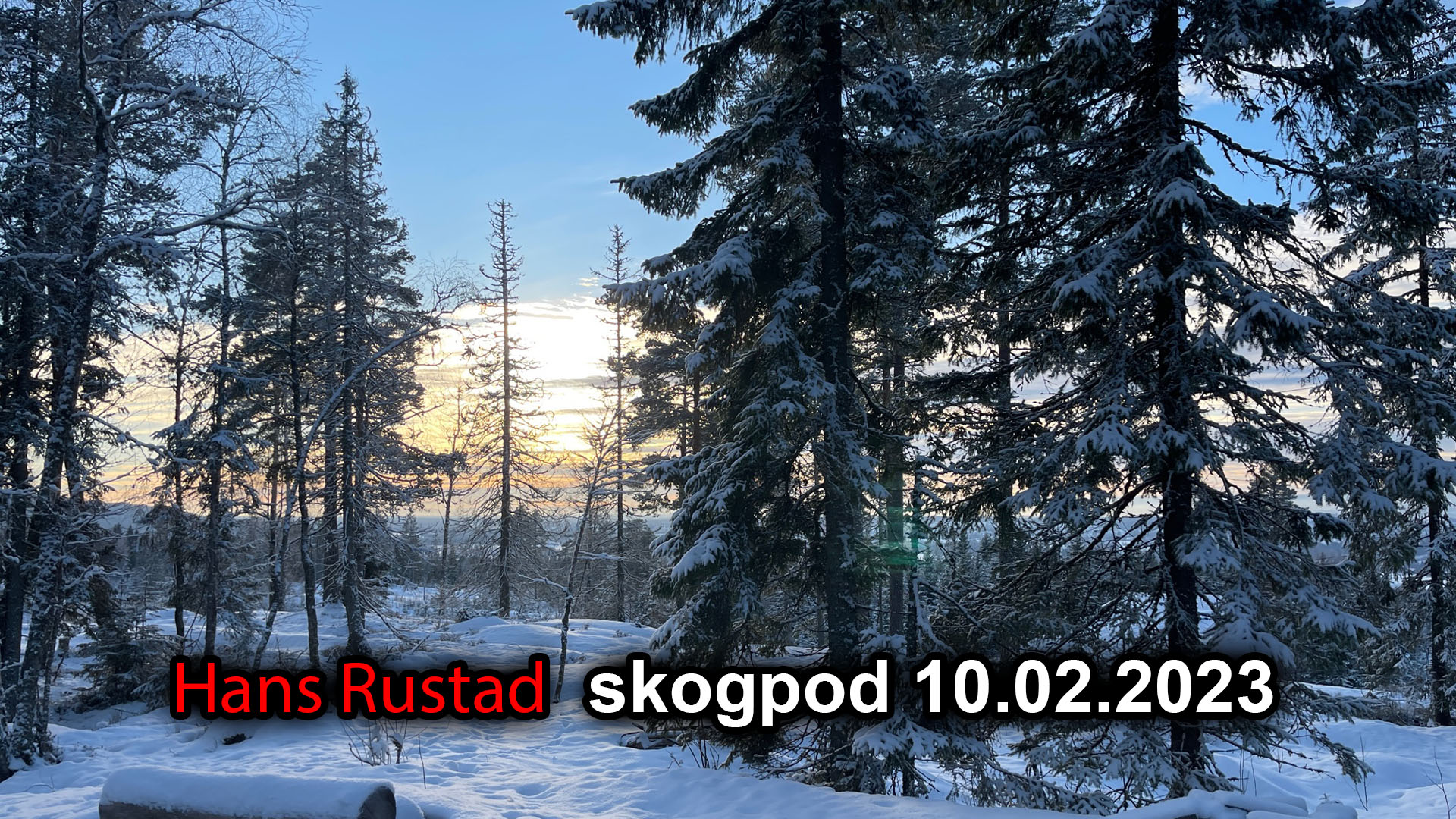 Skogpod 10. februar: Holdningen til varslere har snudd 180 grader&nbsp;<span>(+)</span>