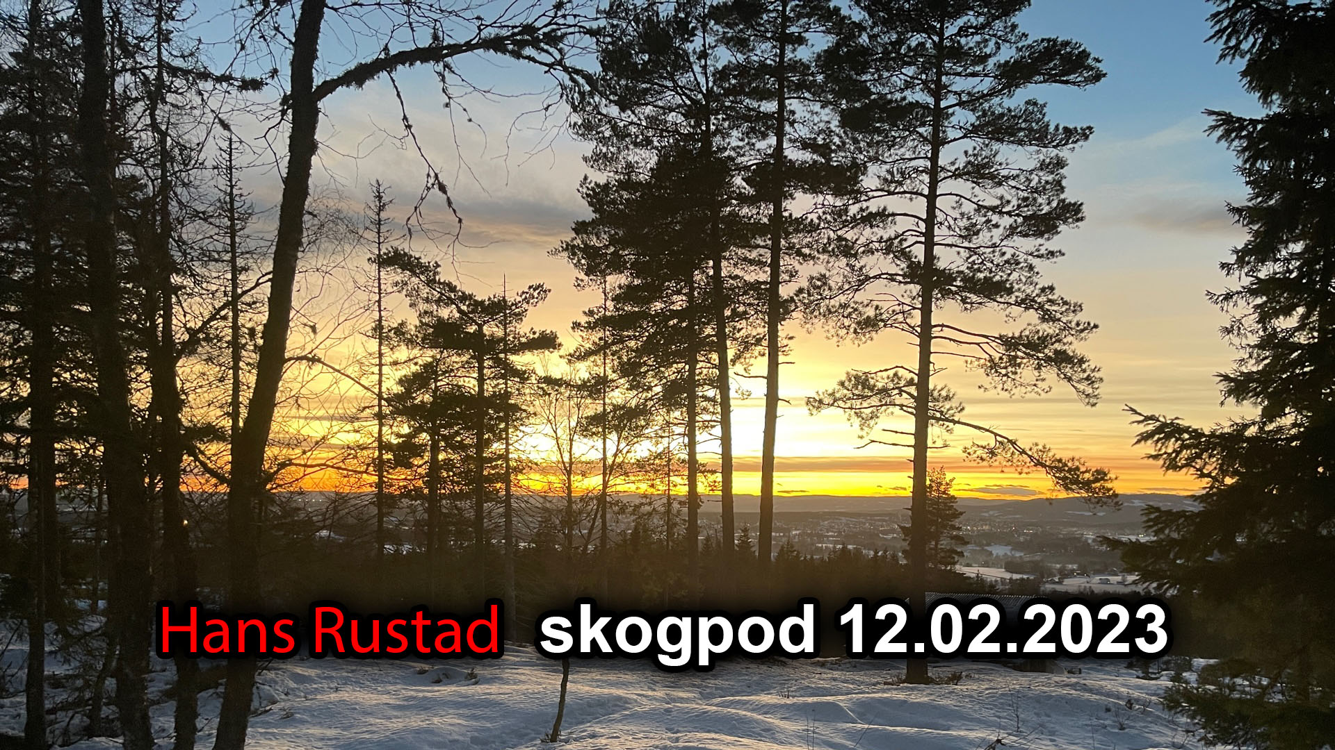 Skogpod 12. februar: Folket vil ha fightere&nbsp;<span>(+)</span>