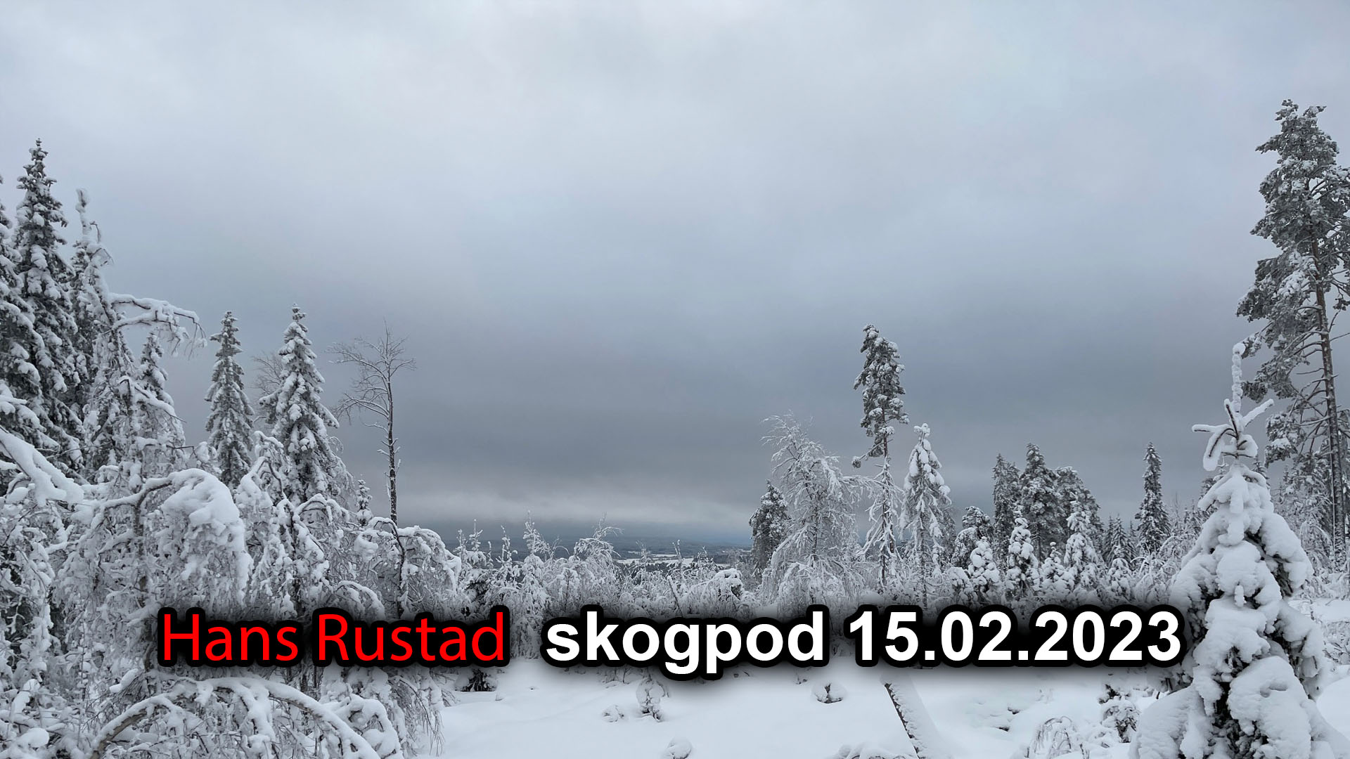 Skogpod 15. februar: Gud jobber&nbsp;<span>(+)</span>