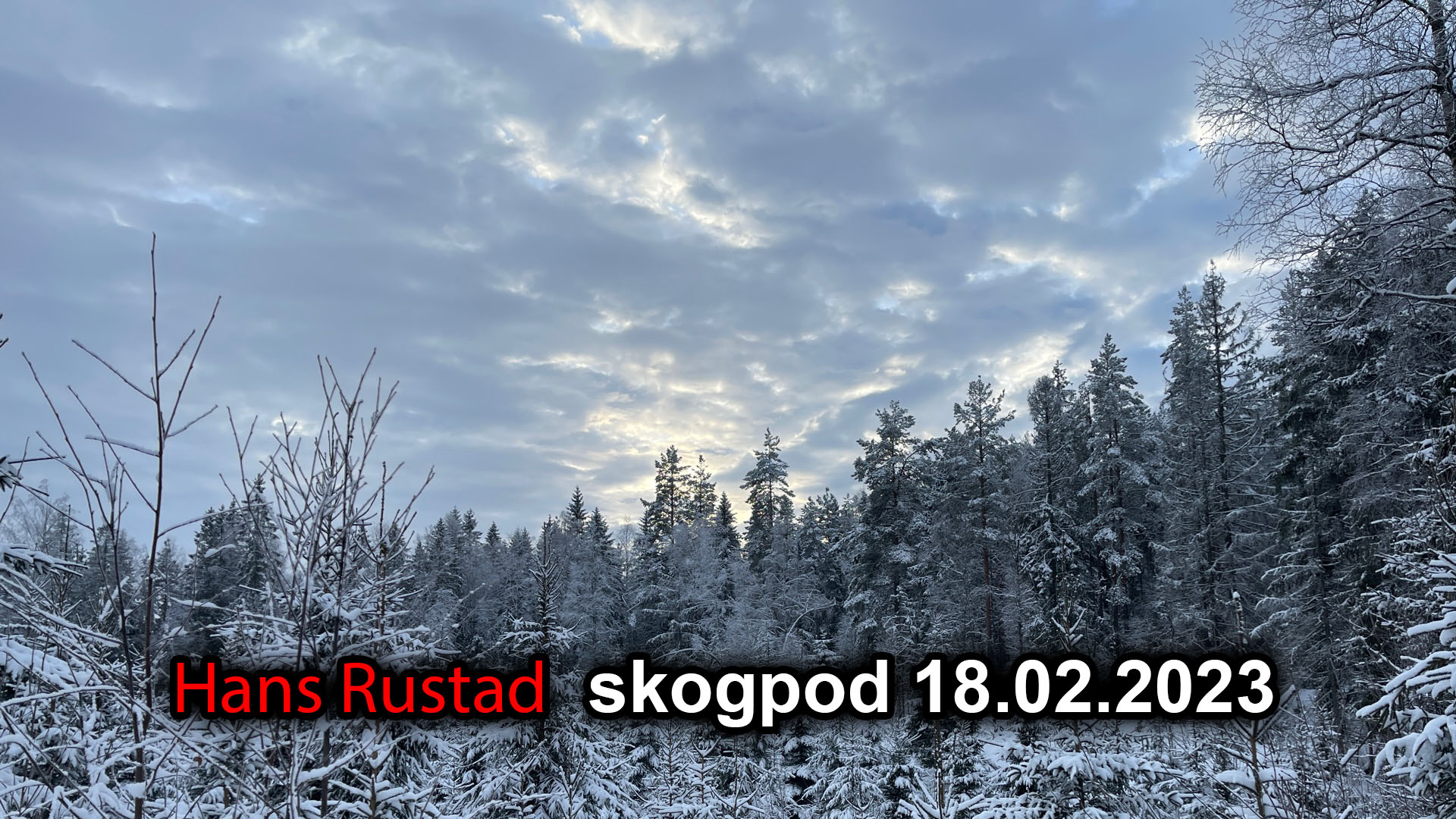 Skogpod 18. februar: Noe ligger i luften&nbsp;<span>(+)</span>