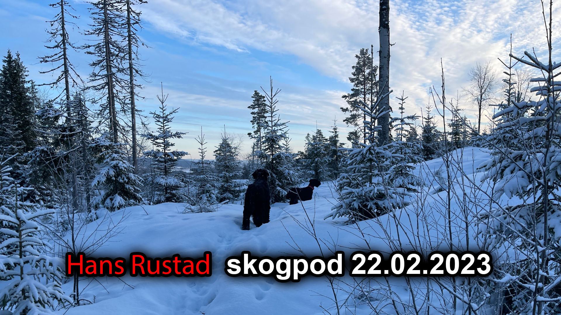 Skogpod 22. februar: De renes land&nbsp;<span>(+)</span>