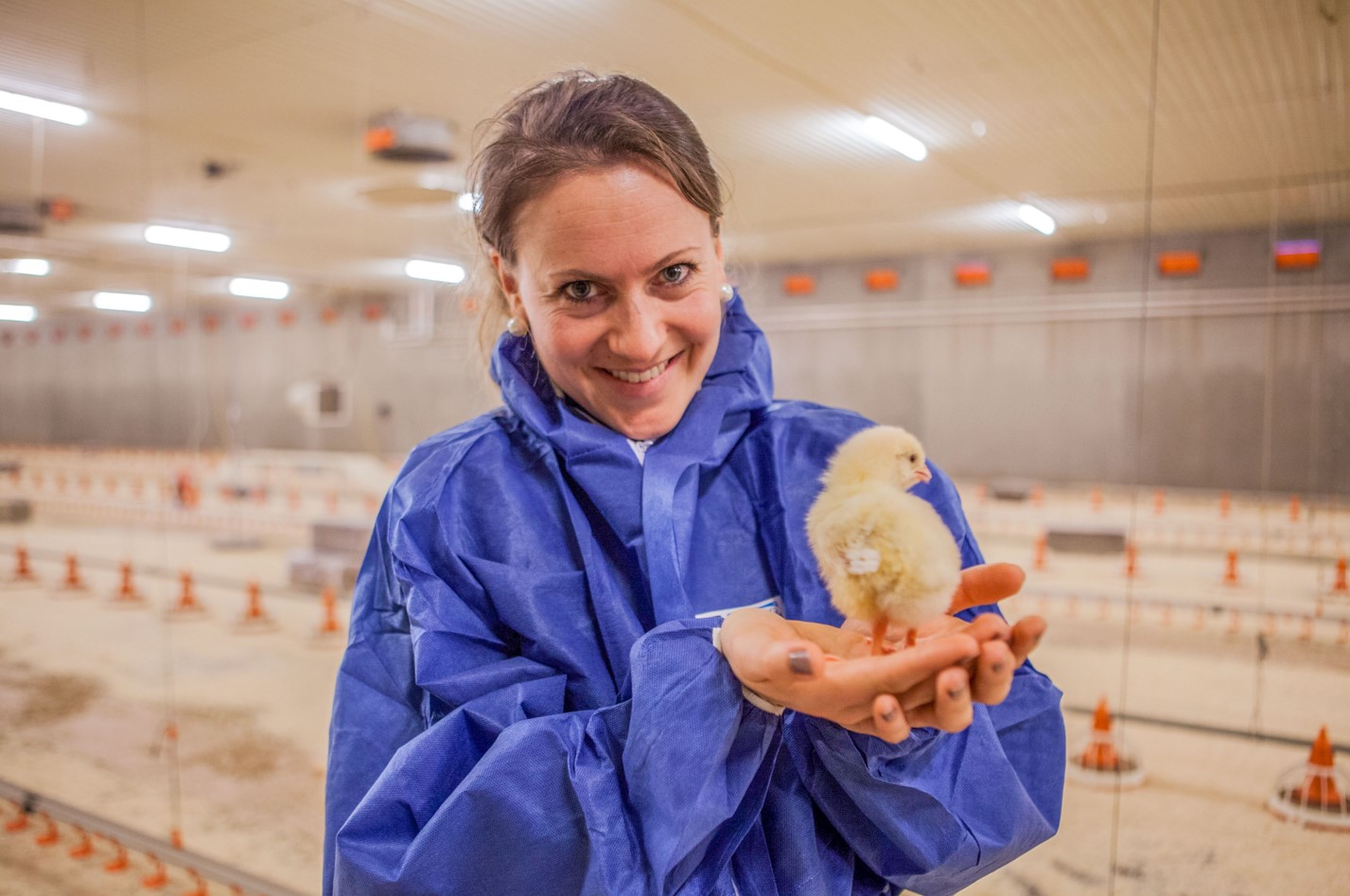 Eggprisene skyter i været verden over, men i Norge er ikke påskekosen i fare&nbsp;<span>(+)</span>