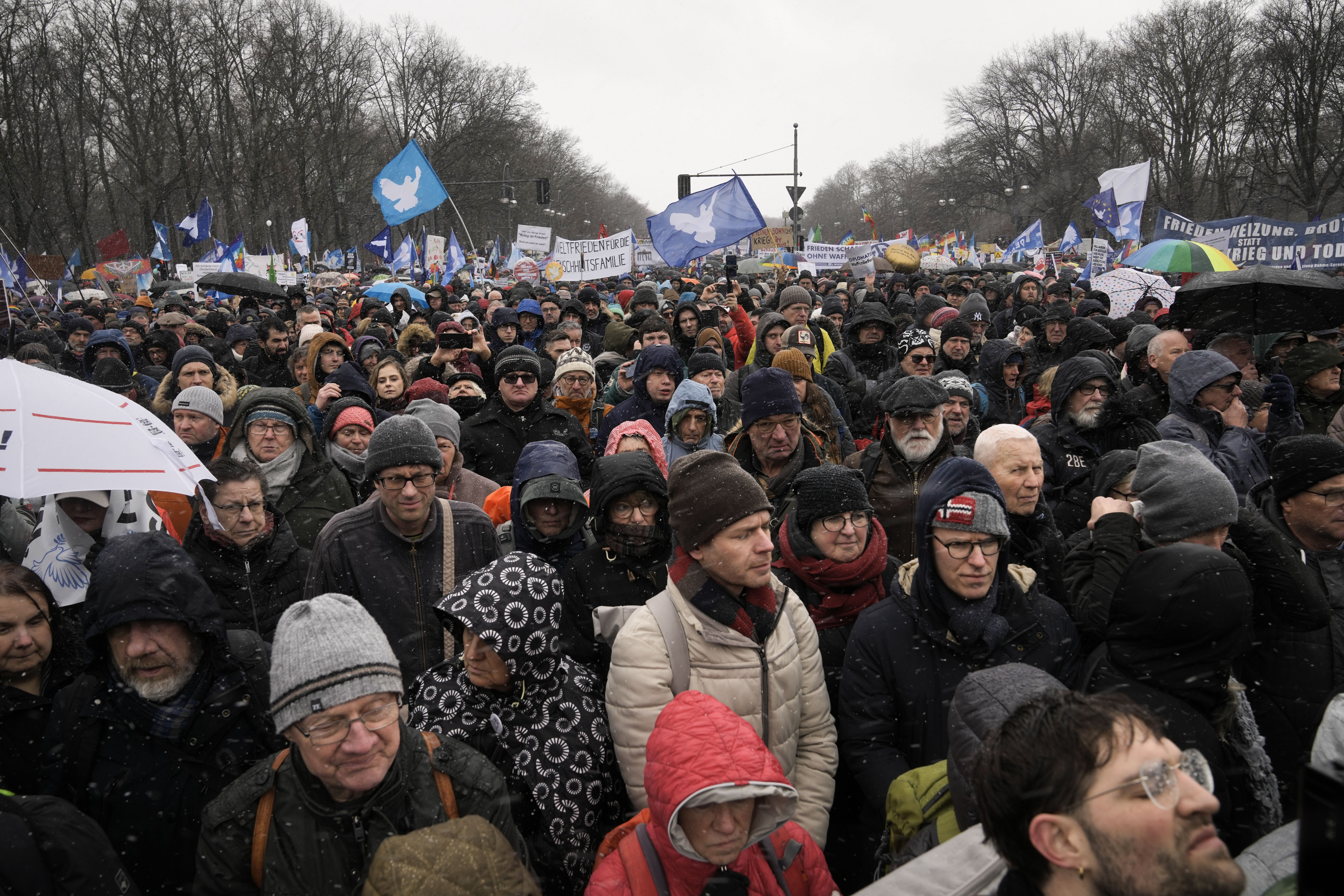 Tyskerne er mot våpen til Ukraina&nbsp;<span>(+)</span>