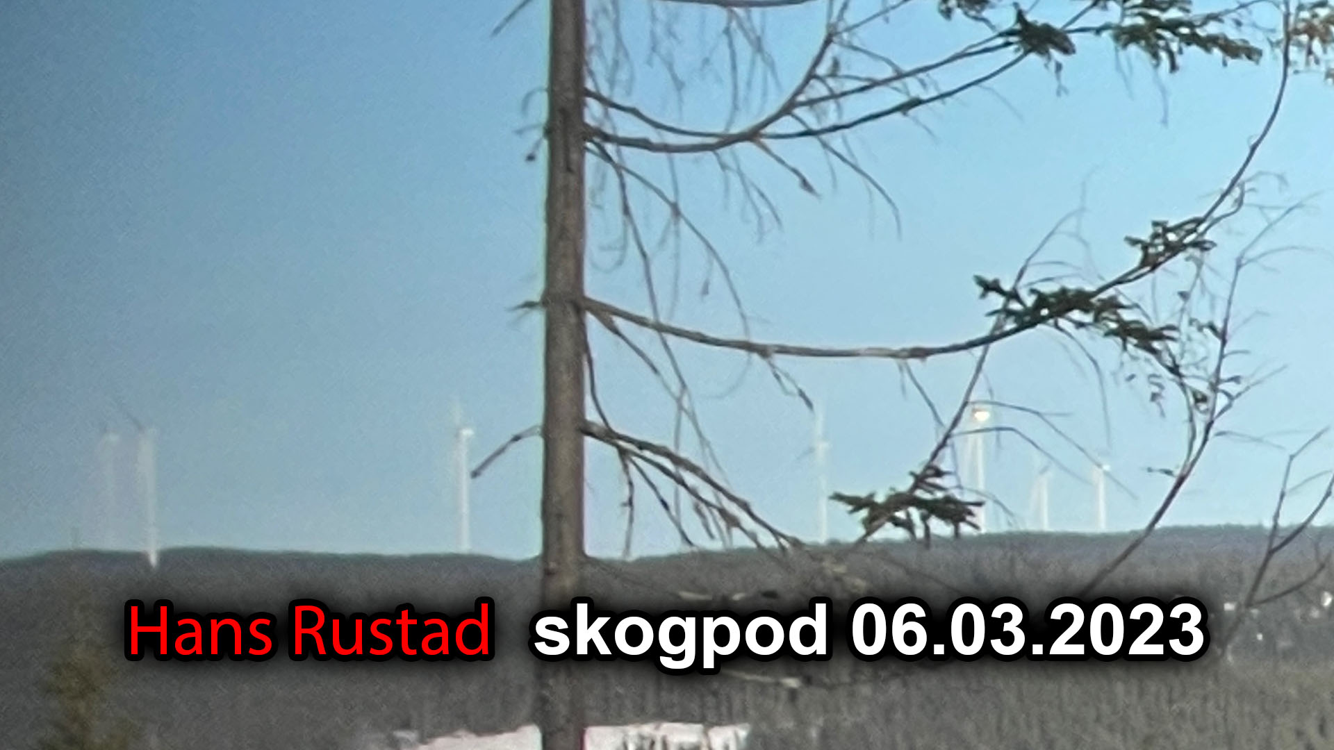 Skogpod 6. Mars, 2023:&nbsp;<span>(+)</span>