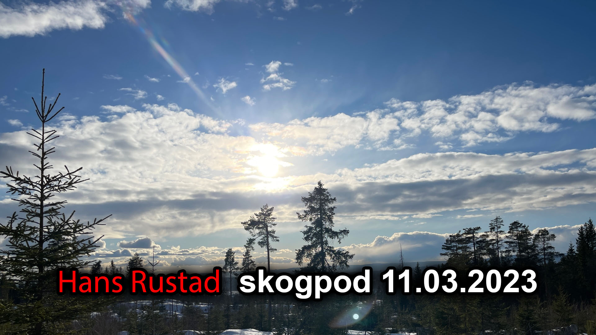 Skogpod 11. mars 2023:  Veiet og funnet for lett&nbsp;<span>(+)</span>