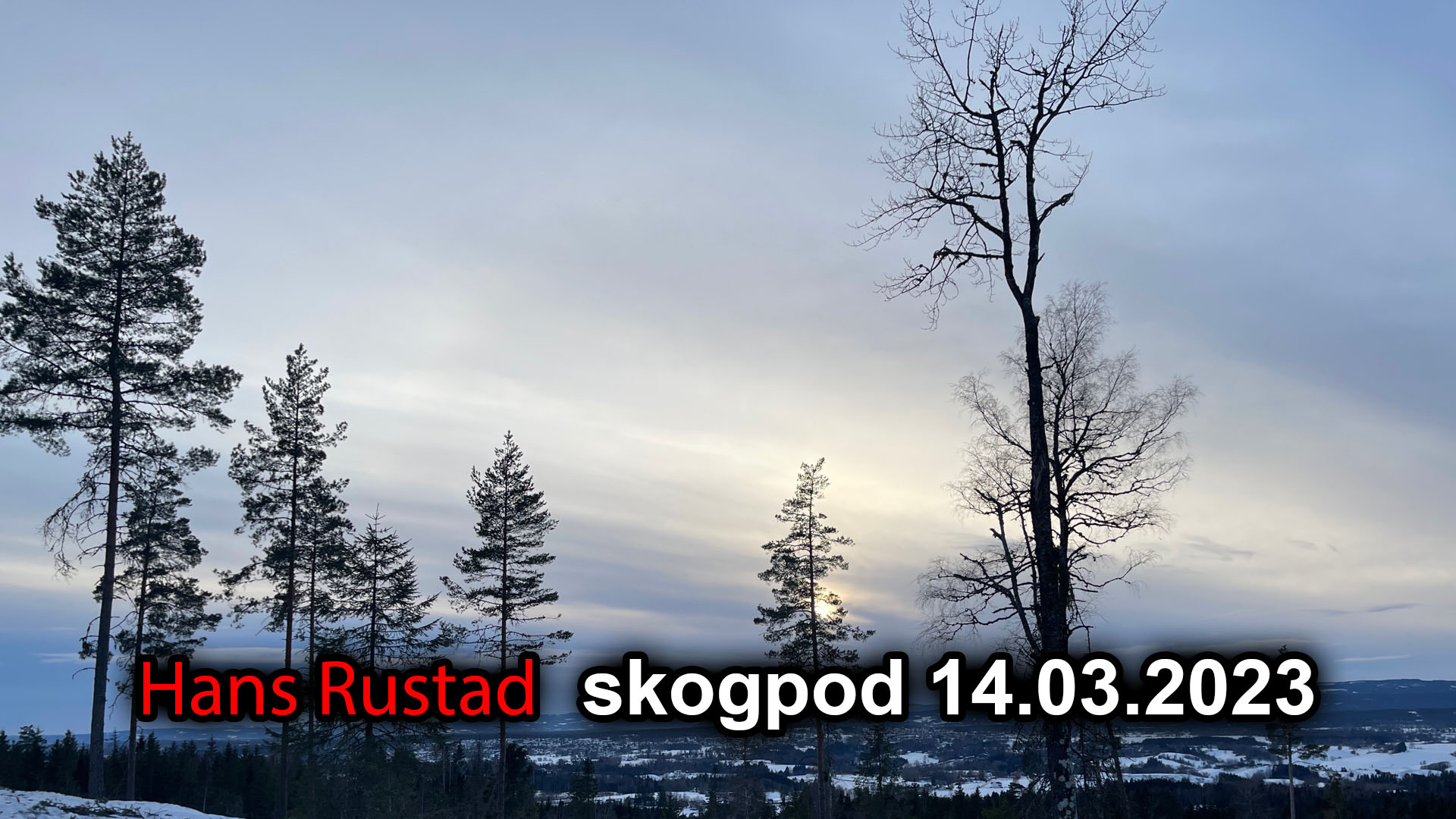 Skogpod 14. mars 2023: Samfunnet kan forsvare seg hvis myndighetene vil&nbsp;<span>(+)</span>