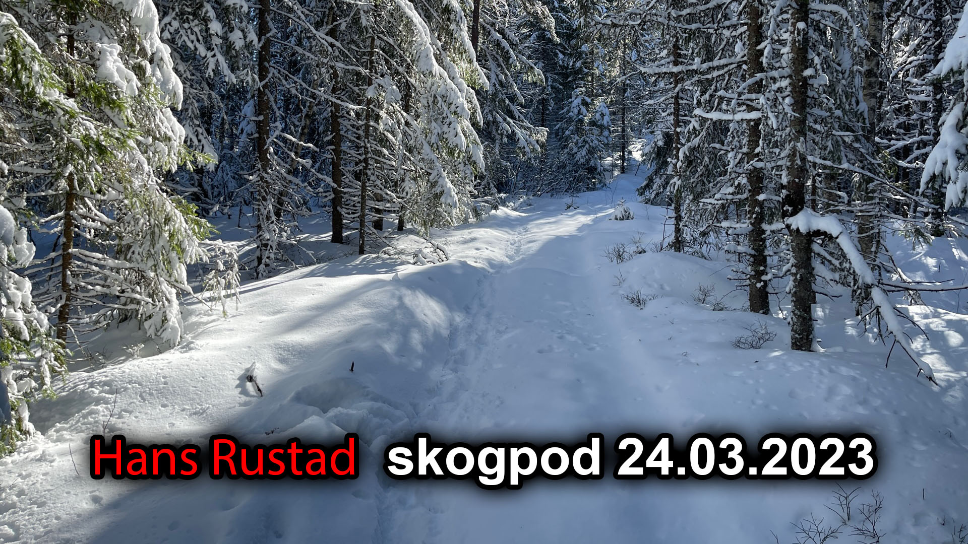 Skogpod 24. mars 2023: Det svake kjønn&nbsp;<span>(+)</span>
