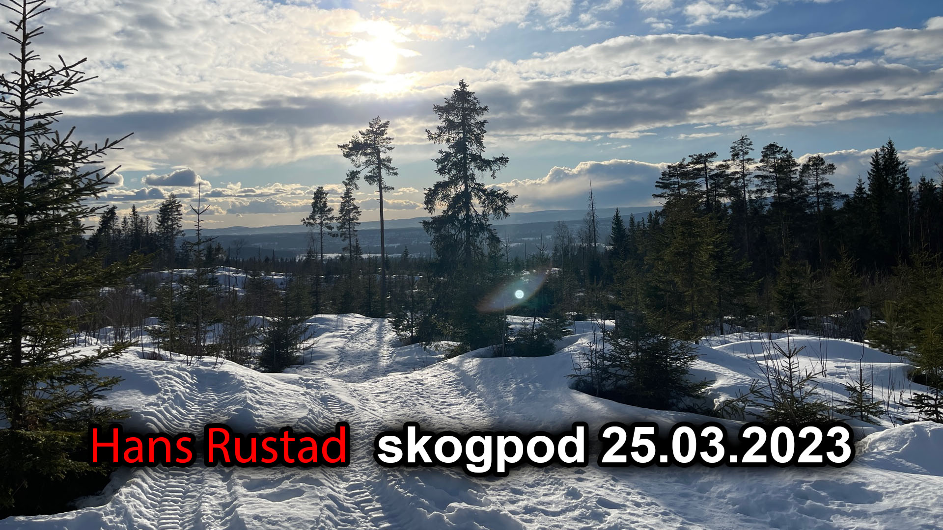 Skogpod 25. mars 2023: Skitsnakk&nbsp;<span>(+)</span>