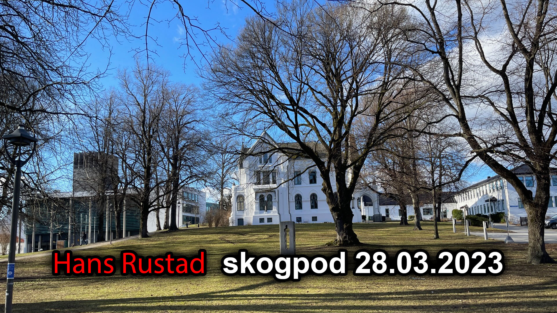 Skogpod 28. mars 2023: Organisering&nbsp;<span>(+)</span>