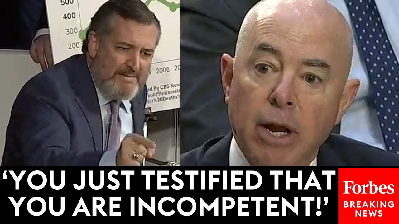 – Hvor mange barn er solgt til sexslaveri på din vakt, Mayorkas?&nbsp;<span>(+)</span>