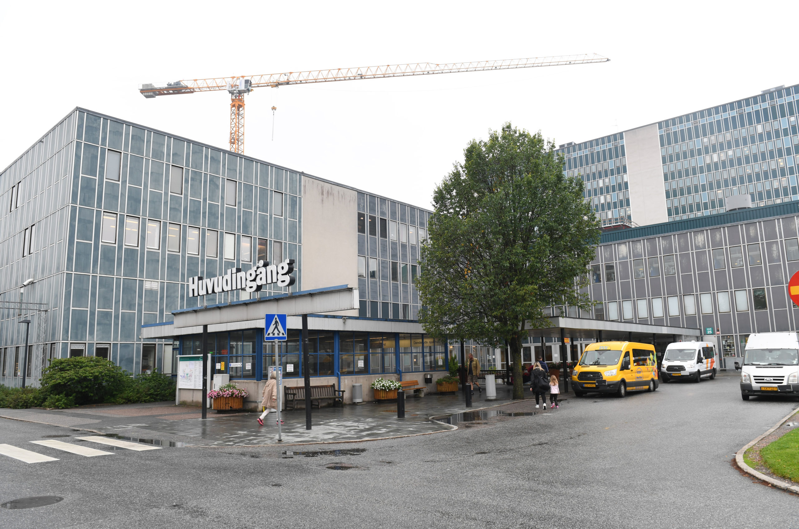 Pleier innledet forhold til pasienter på lukket avdeling&nbsp;<span>(+)</span>