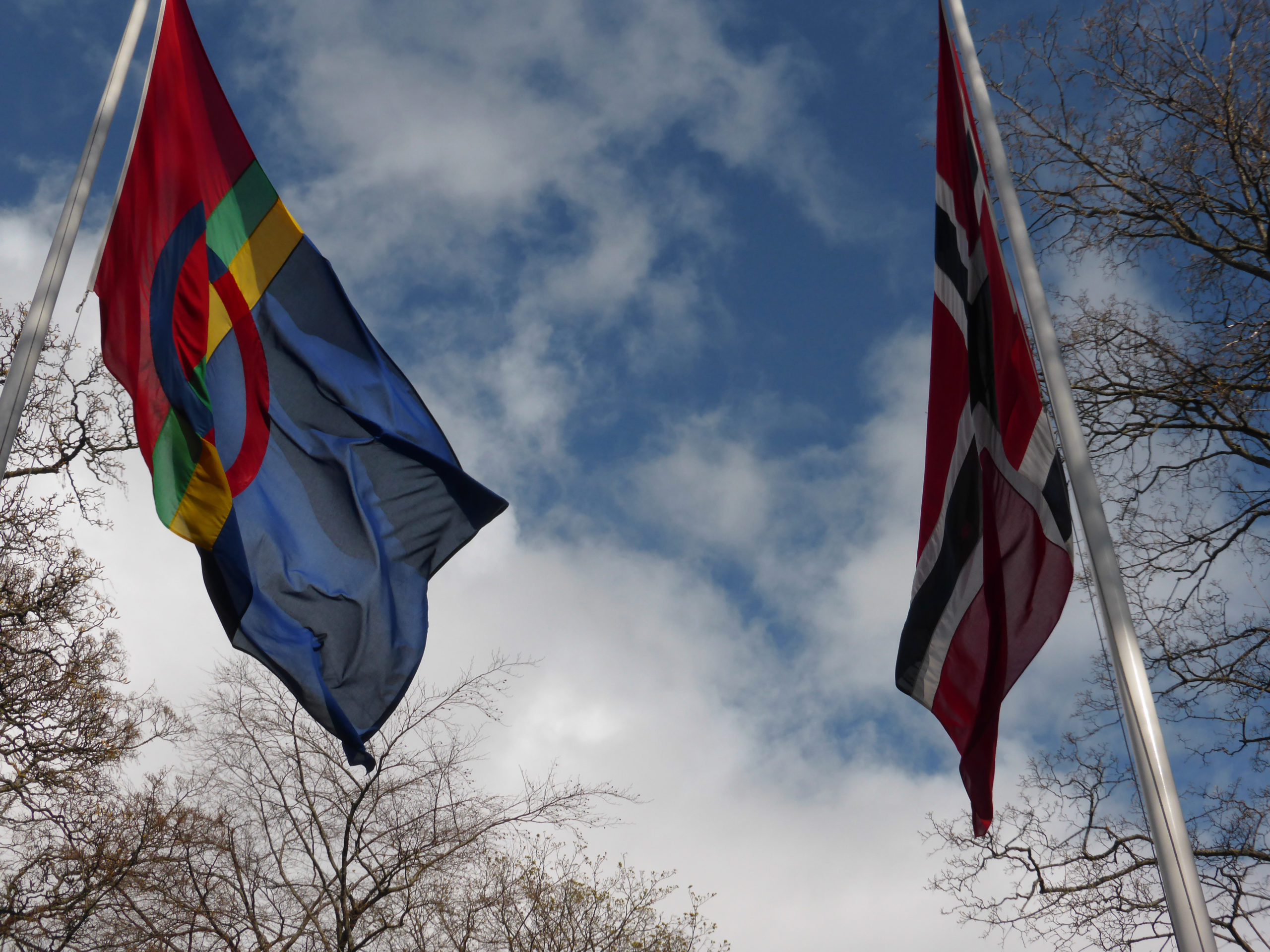 Europarådet mener Norge fortsatt har mye igjen å gjøre for minoritetsspråk&nbsp;<span>(+)</span>
