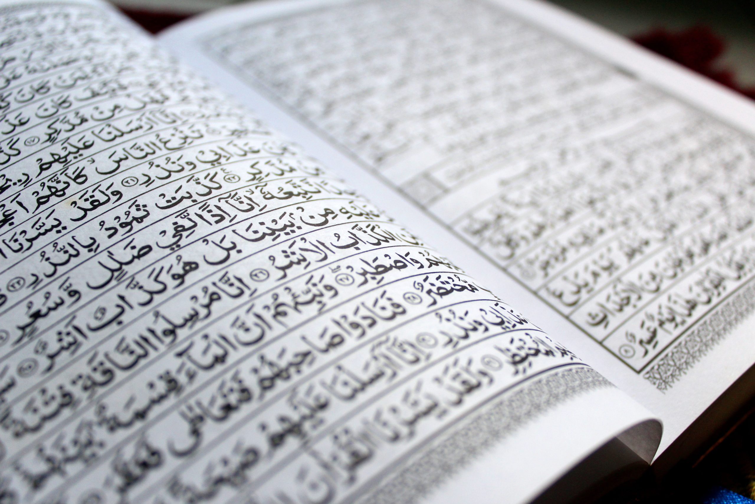 Sa nei til muslimsk bønn på skole: Nå beklager rektor&nbsp;<span>(+)</span>