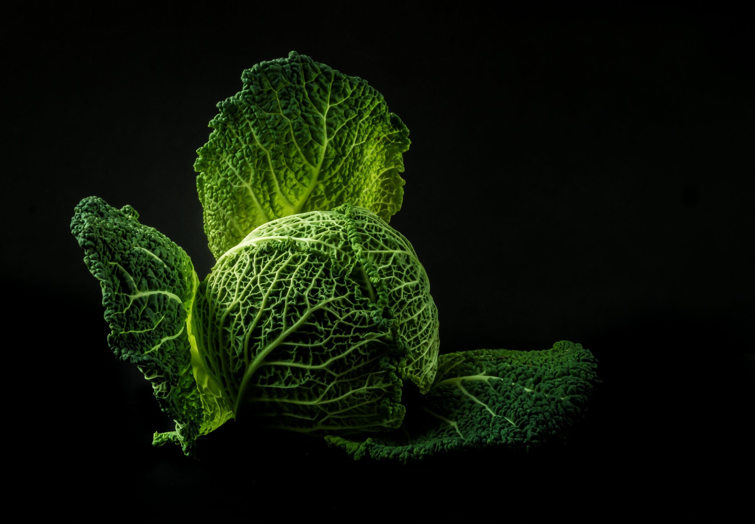 Miljøforkjemper faster for planeten&nbsp;<span>(+)</span>