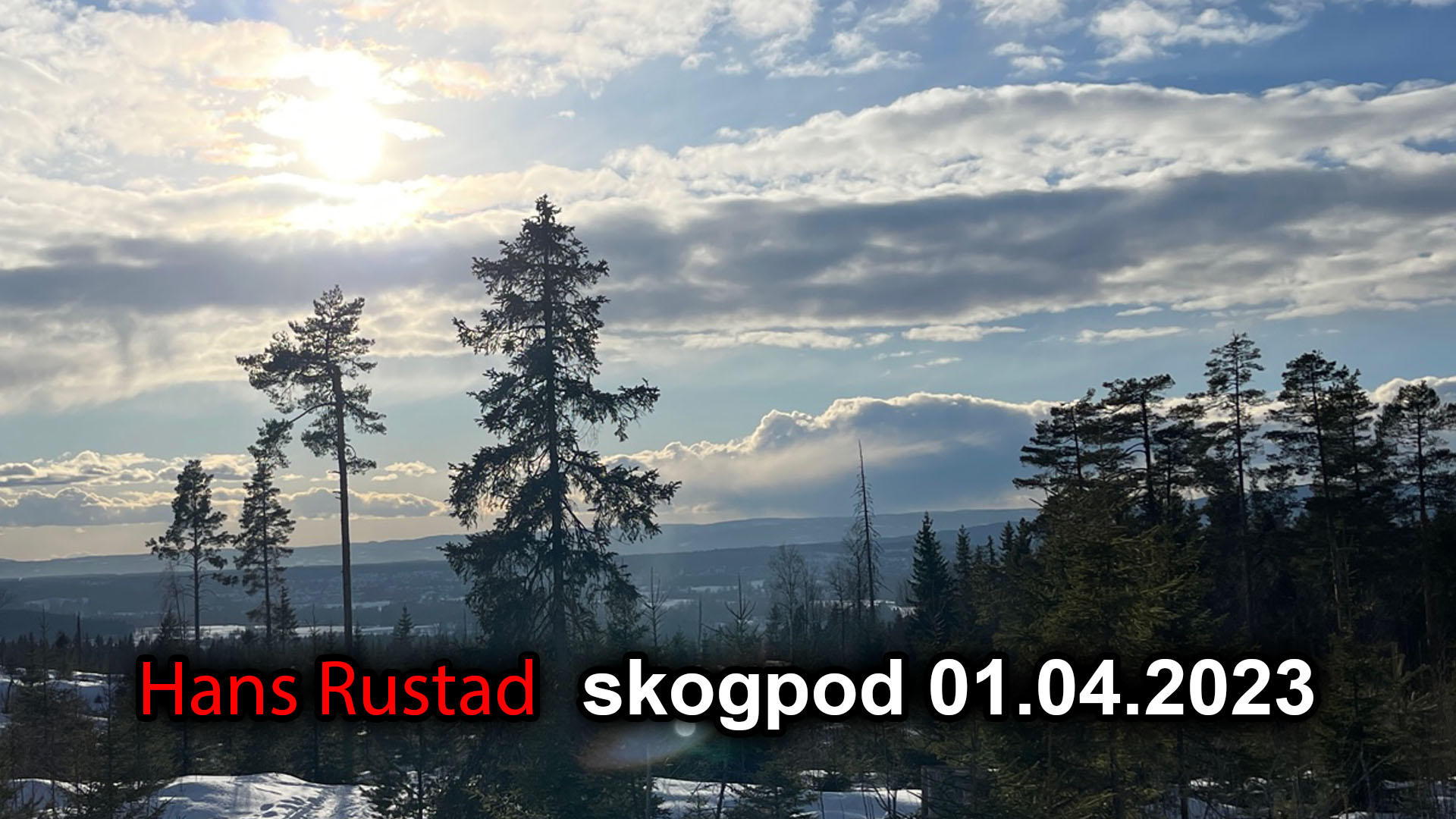 Skogpod 01. april 2023 Hvem er de sårbare?&nbsp;<span>(+)</span>