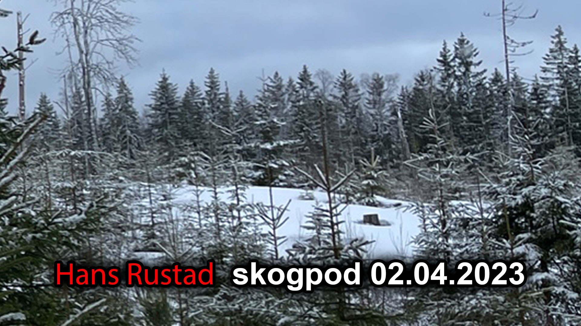 Skogpod 2. april 2023: Forsvar friheten eller mist den&nbsp;<span>(+)</span>