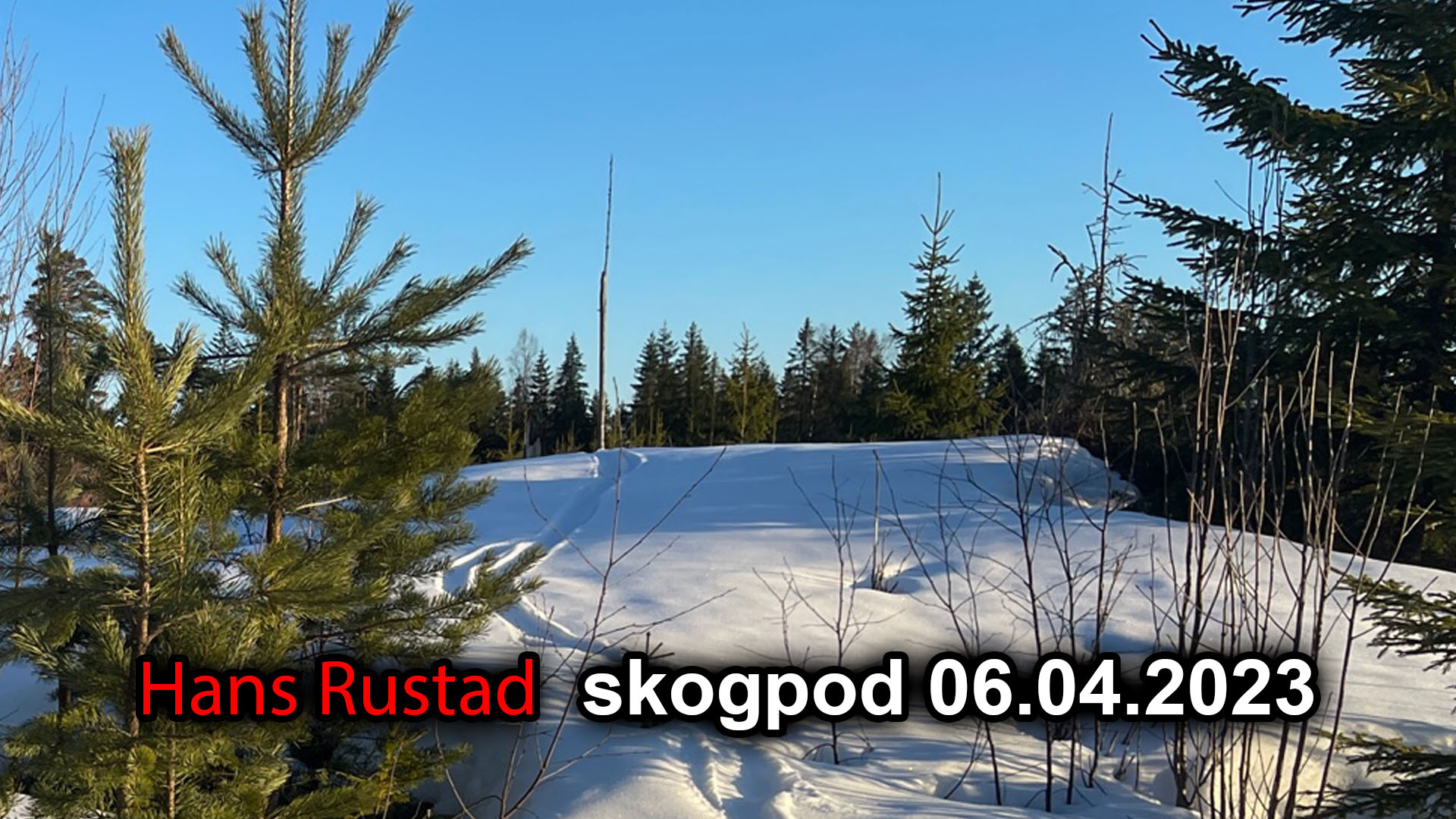 Skogpod 6. april 2023&nbsp;<span>(+)</span>