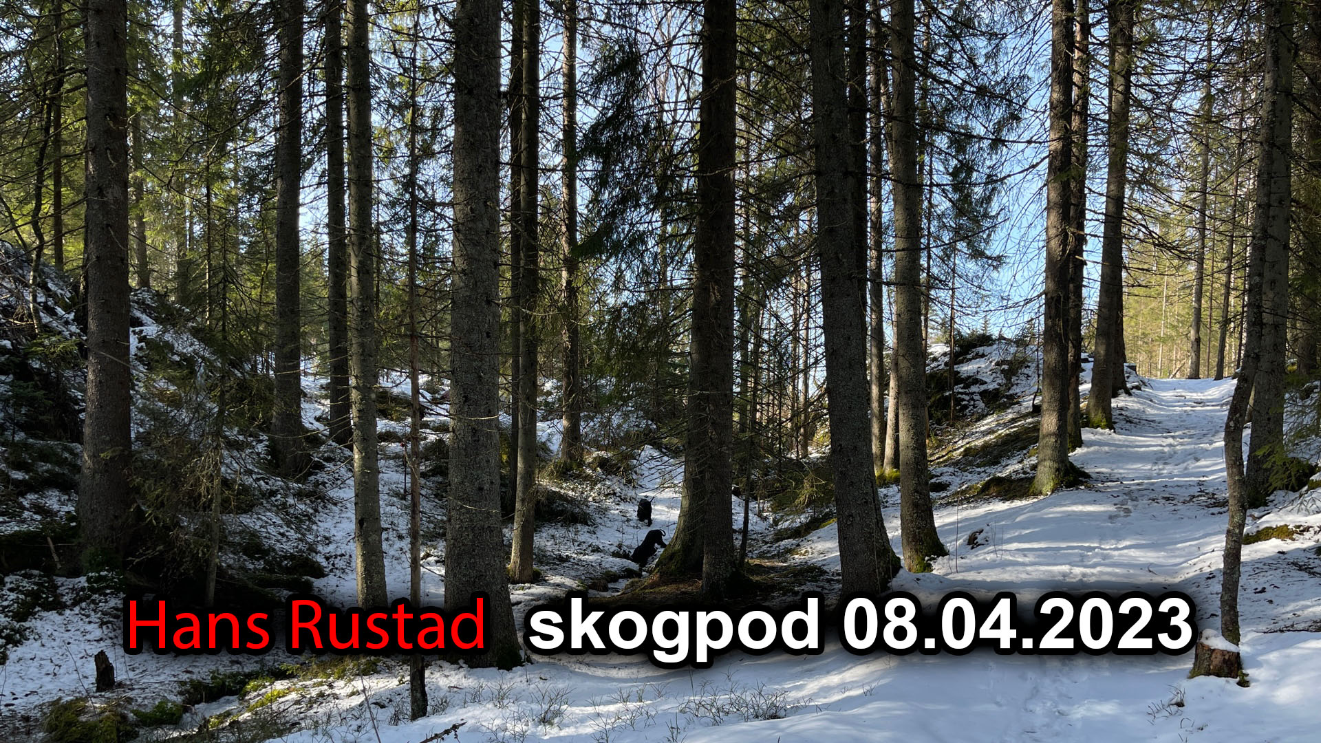 Skogpod 8. april 2023 Alt ble annerledes&nbsp;<span>(+)</span>
