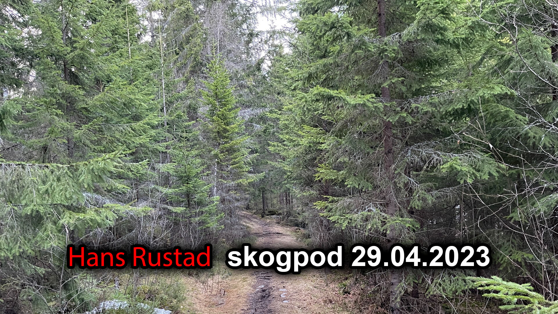 Skogpod 29. april 2023: Når de smarte bruker sine evner i ondskapens tjeneste&nbsp;<span>(+)</span>