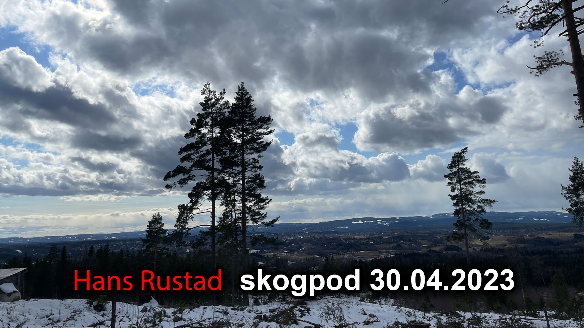 Skogpod 30. april 2023 Ukjent landskap&nbsp;<span>(+)</span>