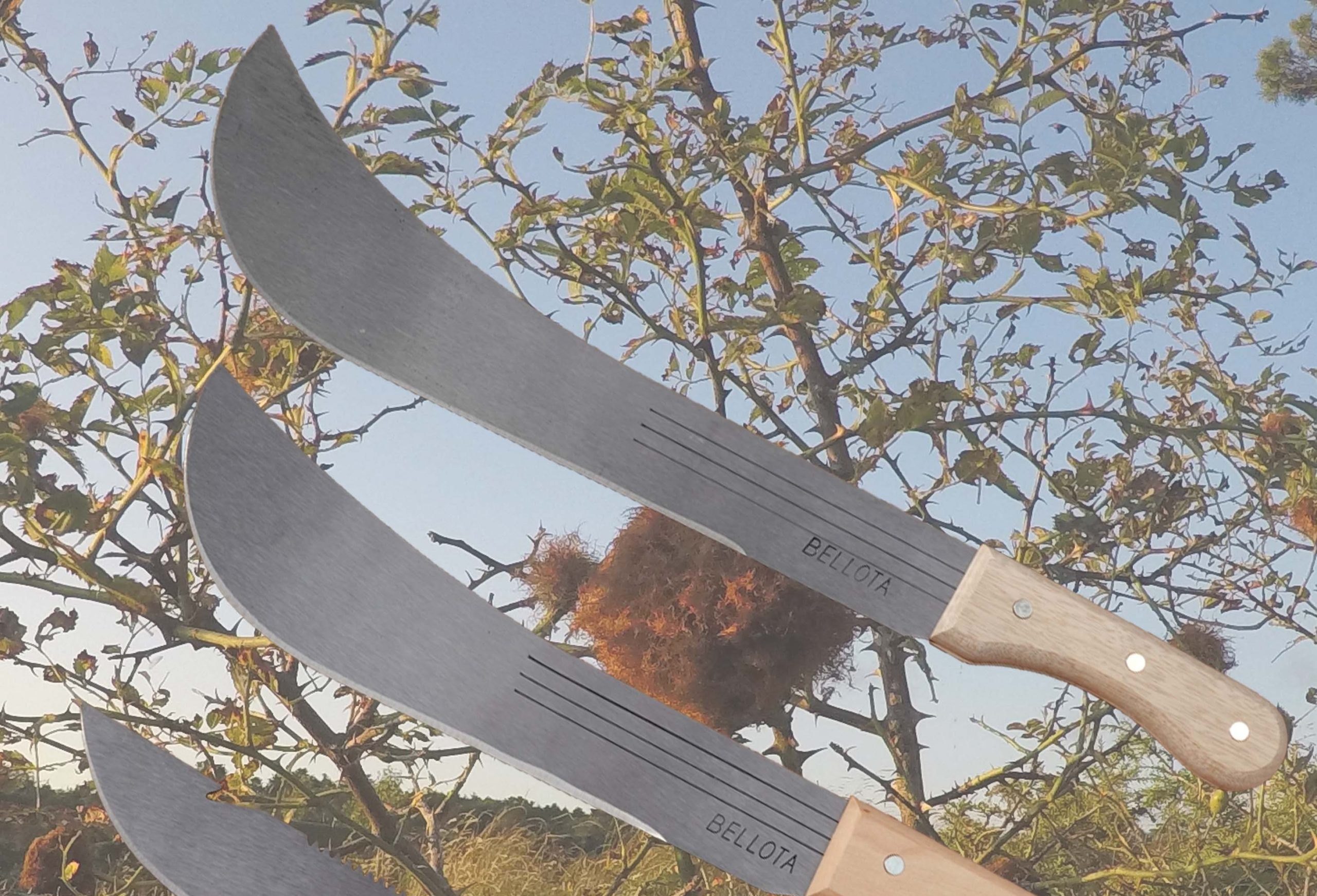 Storbritannia vil forby macheter&nbsp;<span>(+)</span>