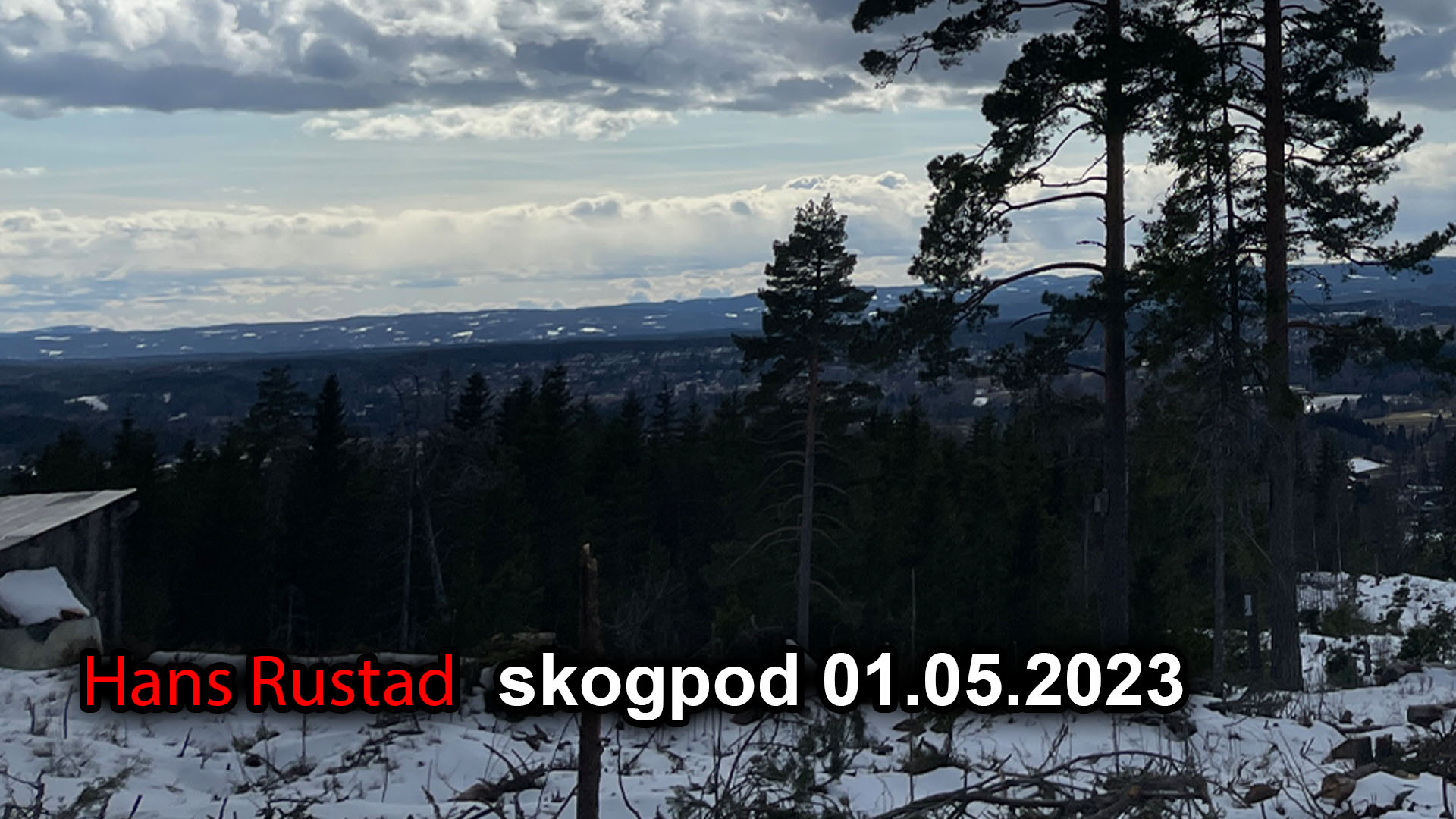 Skogpod 1. mai 2023&nbsp;<span>(+)</span>