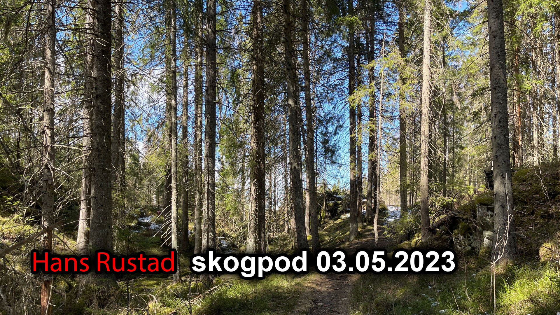 Skogpod 3. mai 2023&nbsp;<span>(+)</span>