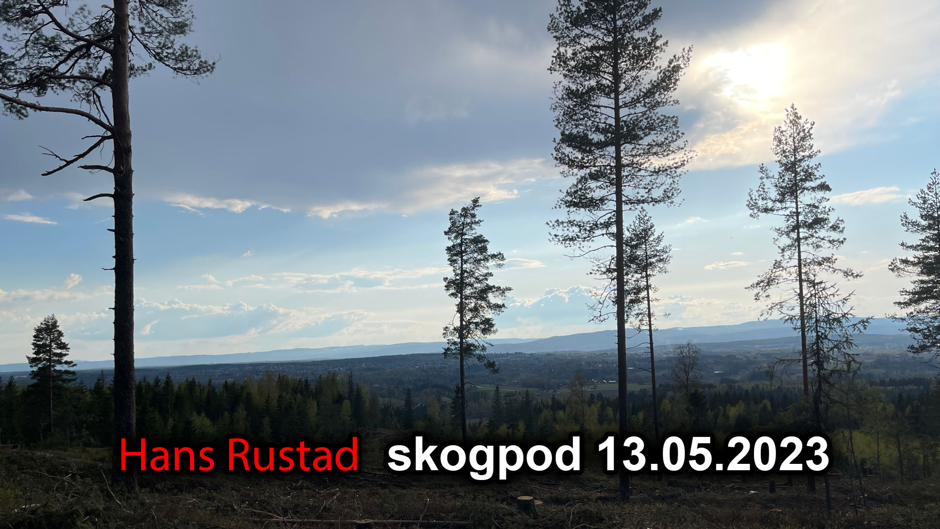 Skogpod 13. mai 2023: Opplysning og trøst&nbsp;<span>(+)</span>