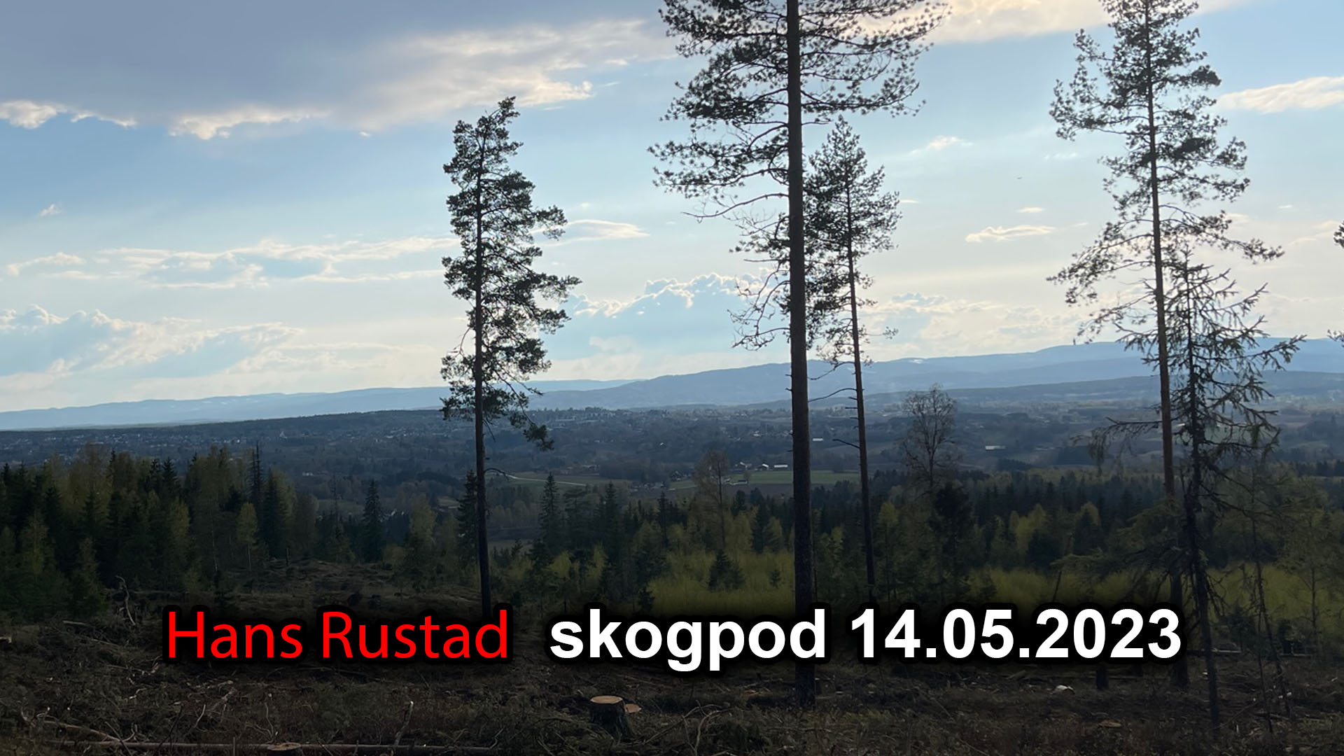 Skogpod 14. mai 2023&nbsp;<span>(+)</span>