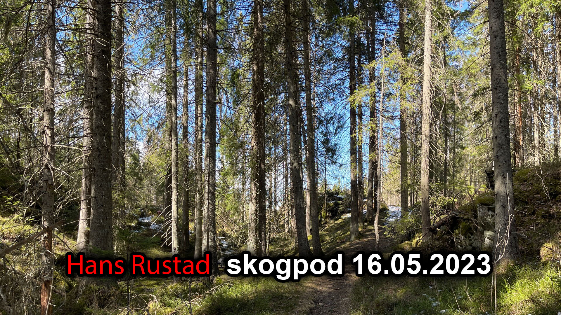 Skogpod 16. mai 2023&nbsp;<span>(+)</span>
