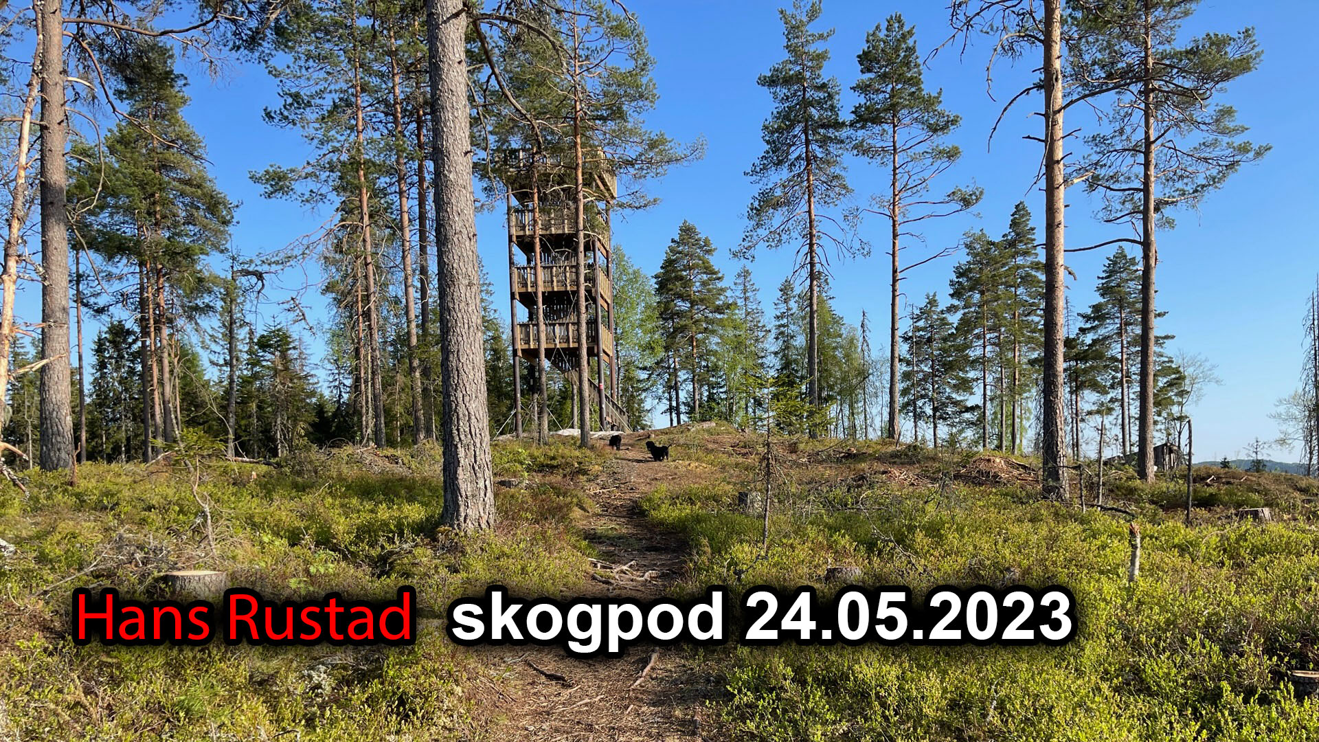 Skogpod 24. mai 2023 Mapping the world, kartlegging av verden&nbsp;<span>(+)</span>