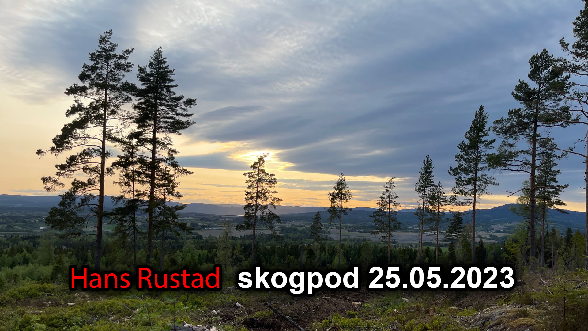 Skogpod 25. mai 2023&nbsp;<span>(+)</span>