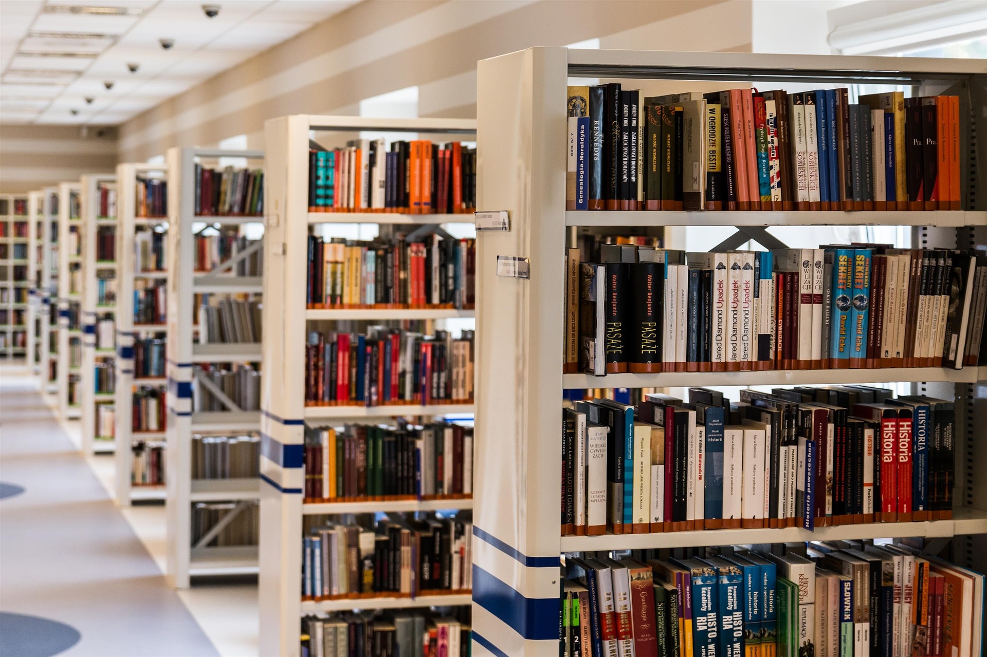 Sverige: 9 av 10 bibliotekarer vil ikke melde fra om ulovlige innvandrere&nbsp;<span>(+)</span>