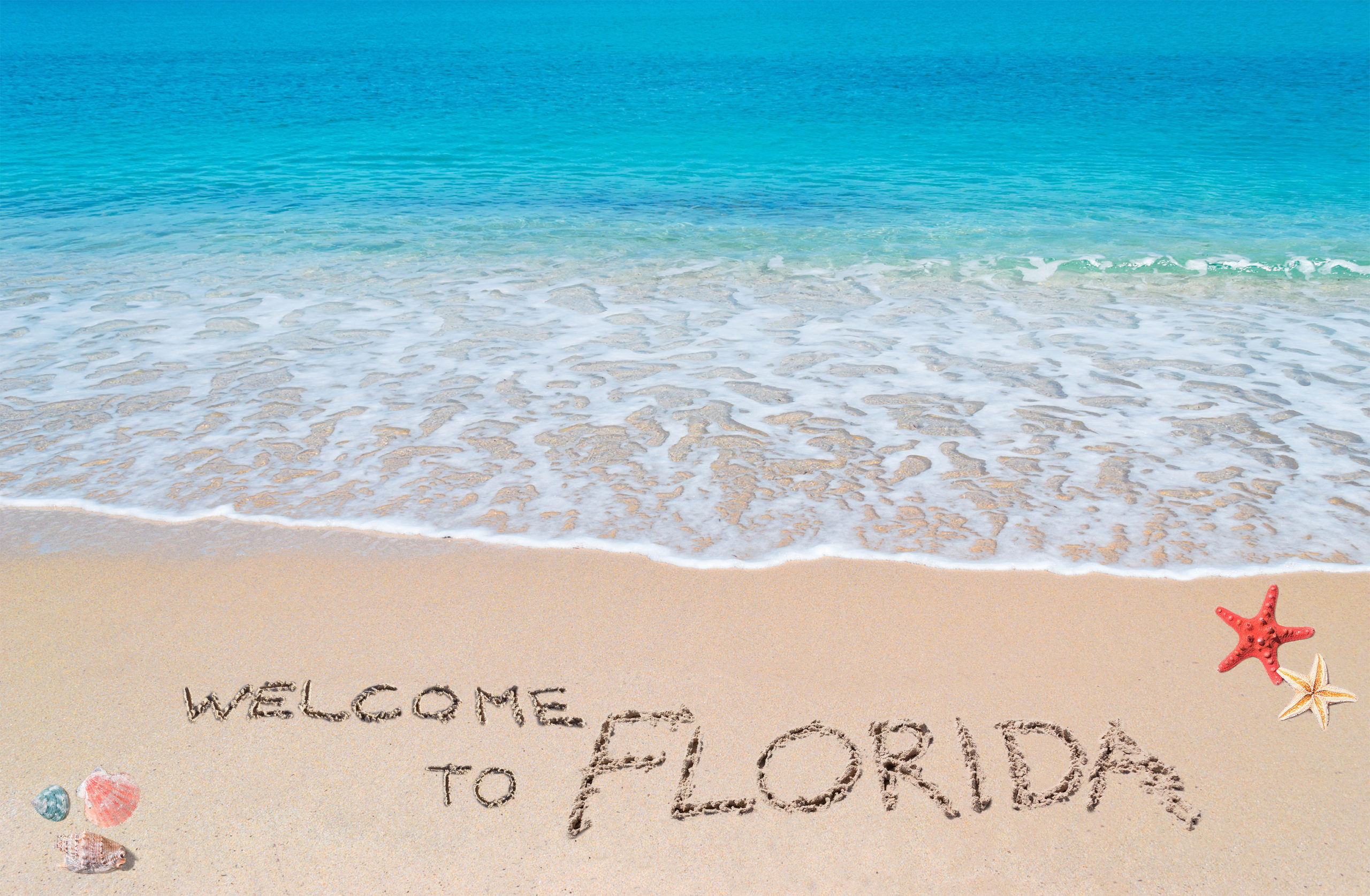 Tryggere for svarte og LHBTQ-samfunnet i Florida enn i New York eller California&nbsp;<span>(+)</span>