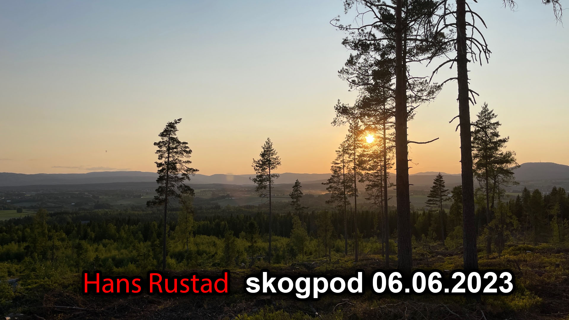 Skogpod 6. juni 2023: Grønland skal males i pridefarger og 3. verdenskrig ved Nordkapp&nbsp;<span>(+)</span>