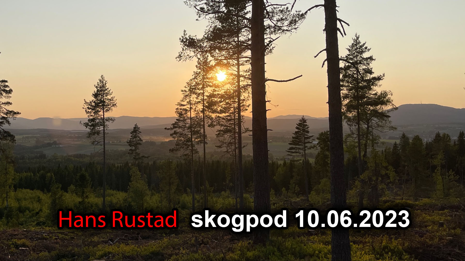 Skogpod 10. juni 2023: Hverdagen er borte&nbsp;<span>(+)</span>